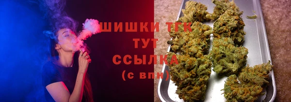 гашик Бородино