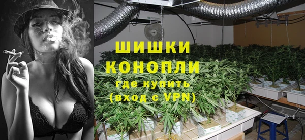 шишки Гусь-Хрустальный