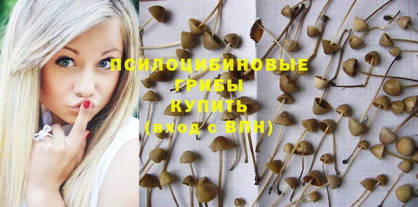 a pvp Бронницы