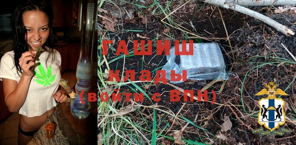 гашик Бородино