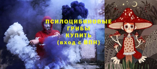 гашик Бородино