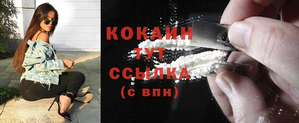 гашик Бородино