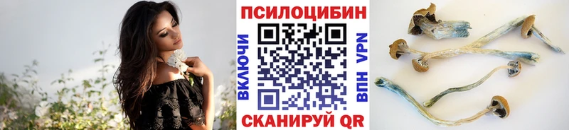 наркошоп  Заозёрный  Псилоцибиновые грибы Psilocybe 